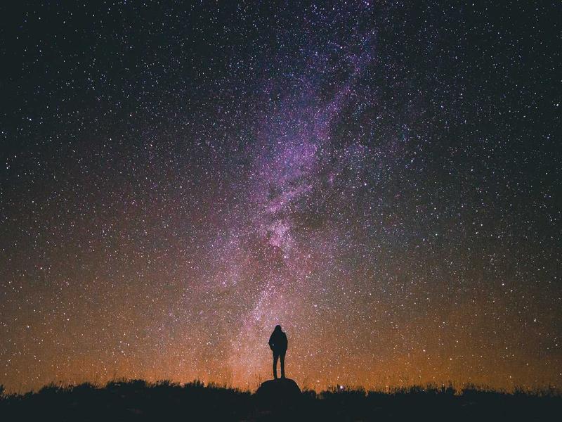 NFT 雷达<br>地板价异动与挂单监控